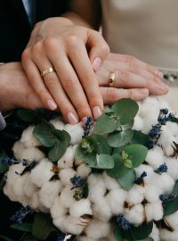 pexels-iriser-916344